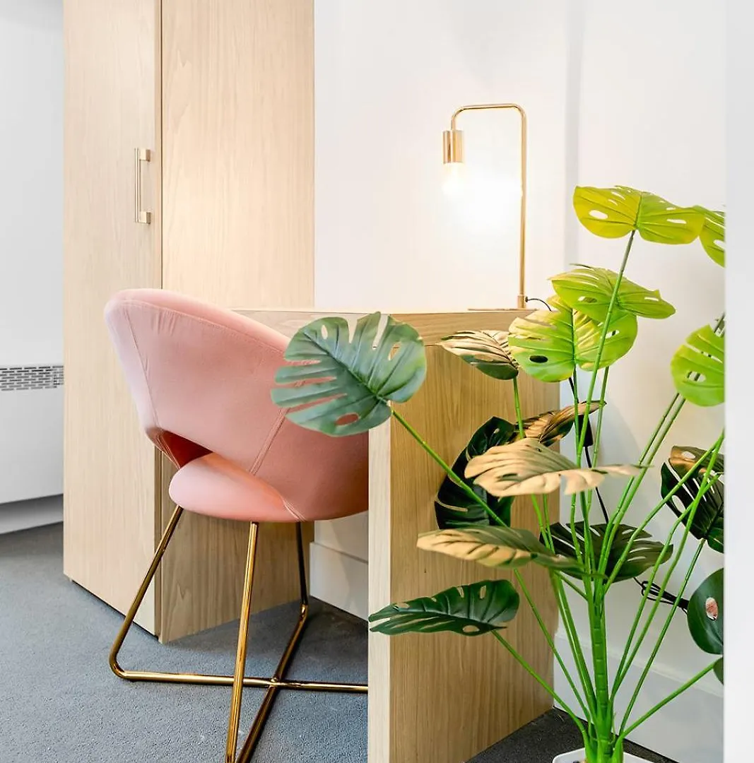 Homestay Beautiful Lofts In Downtown Montreal Apartment